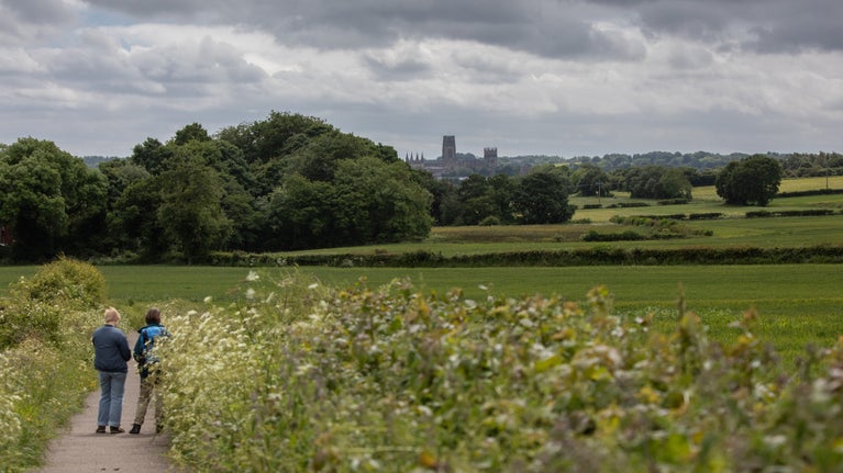 A cloudy but bright summer's day, two walkers pause on a lane between tall, lush vegetation, looking towards a view across green fields to a small woodland. The skyline of Durham city and cathedral are silhouetted in the distance